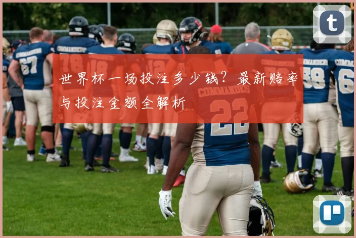 世界杯一场投注多少钱？最新赔率与投注金额全解析