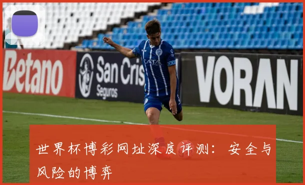 世界杯博彩网址深度评测：安全与风险的博弈