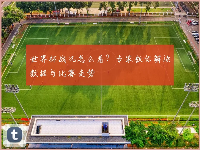 世界杯战况怎么看？专家教你解读数据与比赛走势