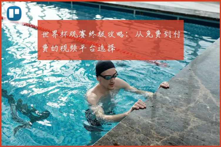 世界杯观赛终极攻略:从免费到付费的视频平台选择
