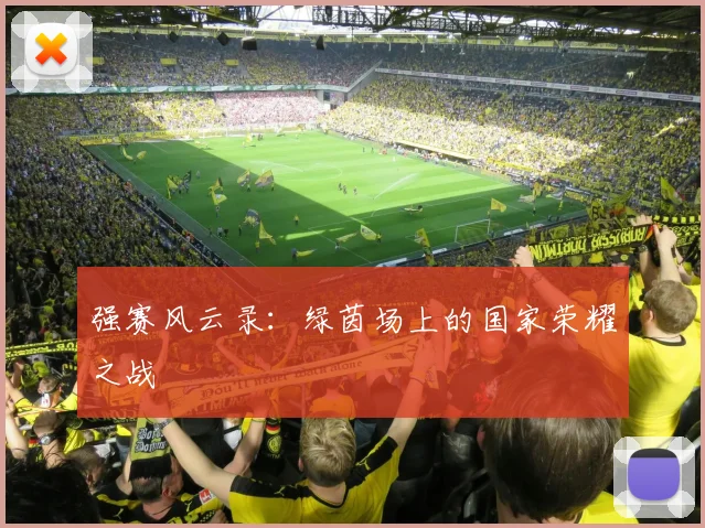强赛风云录：绿茵场上的国家荣耀之战