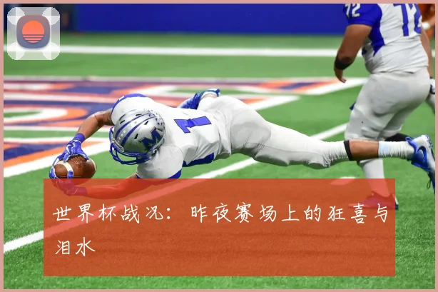 世界杯战况：昨夜赛场上的狂喜与泪水