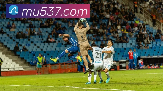 乐竞平台生态图